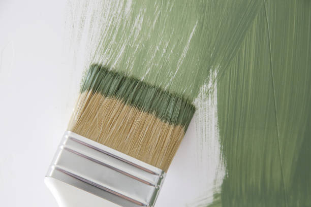 Westville, NJ Mold Removal Company