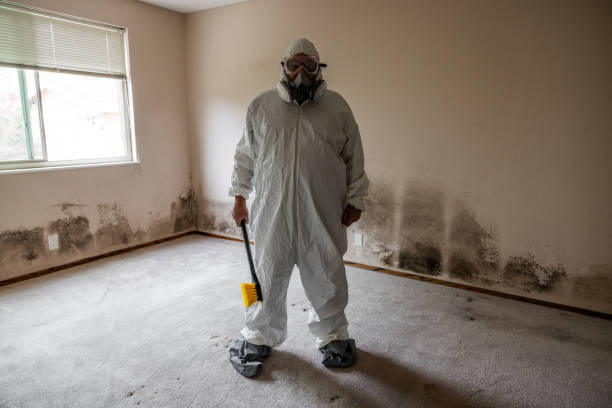 Asbestos and Lead Testing During Mold Inspection in Westville, NJ